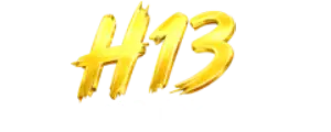 h13